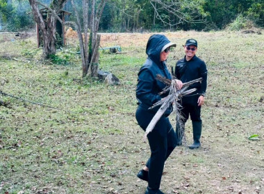 เข้าร่วมโครงการพัฒนาและปรับปรุงภูมิทัศน์ในเขตนิคมสหกรณ์บาเจาะ จังหวัดนราธิวาส ... พารามิเตอร์รูปภาพ 4